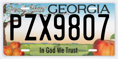 GA license plate PZX9807