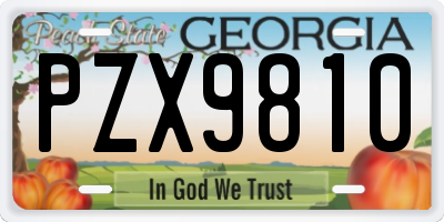 GA license plate PZX9810