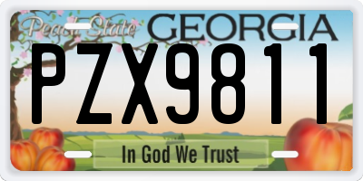 GA license plate PZX9811