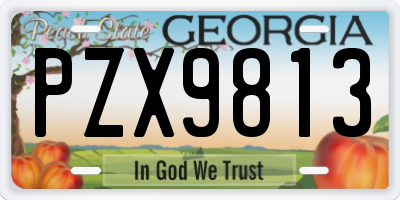 GA license plate PZX9813