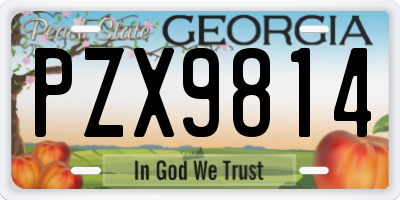 GA license plate PZX9814