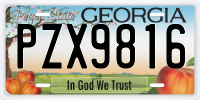GA license plate PZX9816