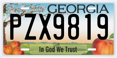 GA license plate PZX9819