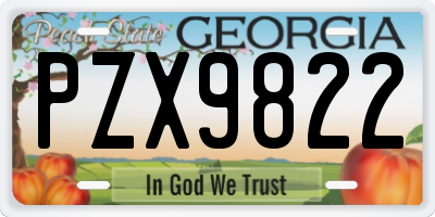GA license plate PZX9822