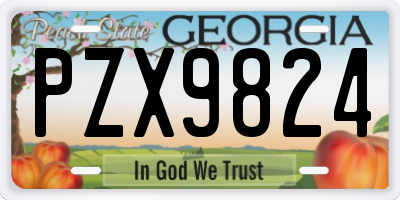 GA license plate PZX9824