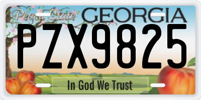 GA license plate PZX9825
