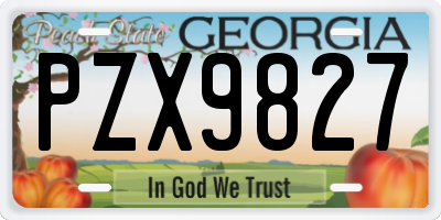 GA license plate PZX9827