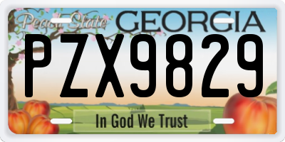 GA license plate PZX9829