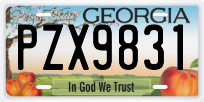 GA license plate PZX9831