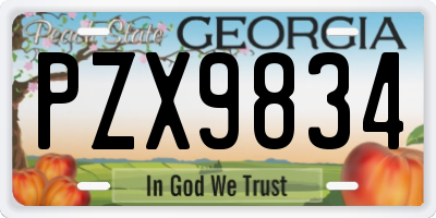 GA license plate PZX9834