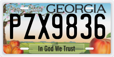 GA license plate PZX9836