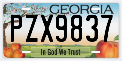 GA license plate PZX9837