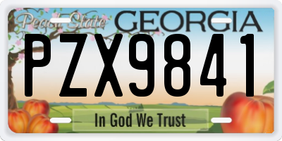 GA license plate PZX9841