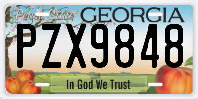 GA license plate PZX9848