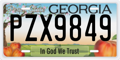 GA license plate PZX9849