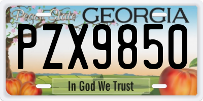 GA license plate PZX9850