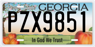 GA license plate PZX9851