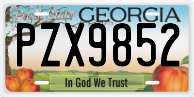 GA license plate PZX9852