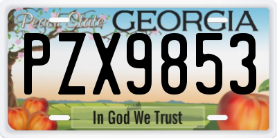 GA license plate PZX9853