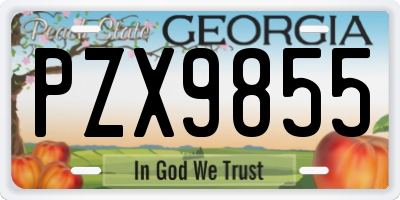 GA license plate PZX9855