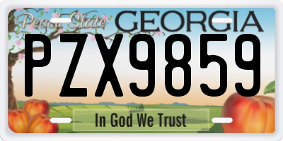 GA license plate PZX9859