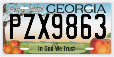 GA license plate PZX9863