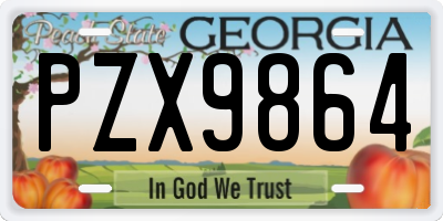GA license plate PZX9864