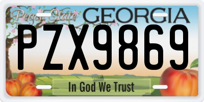 GA license plate PZX9869