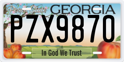 GA license plate PZX9870