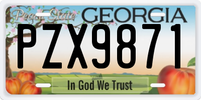 GA license plate PZX9871