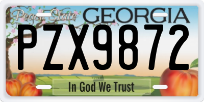 GA license plate PZX9872