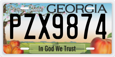 GA license plate PZX9874