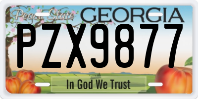 GA license plate PZX9877