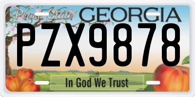 GA license plate PZX9878