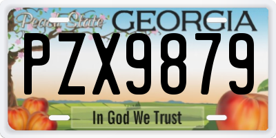 GA license plate PZX9879