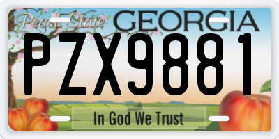 GA license plate PZX9881