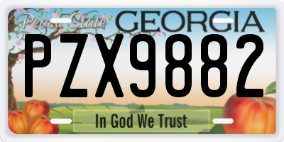 GA license plate PZX9882
