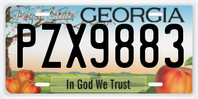 GA license plate PZX9883
