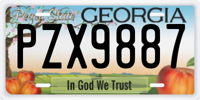 GA license plate PZX9887