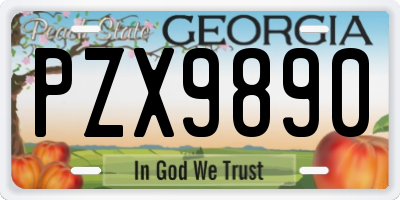 GA license plate PZX9890