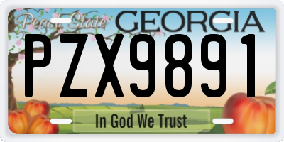 GA license plate PZX9891