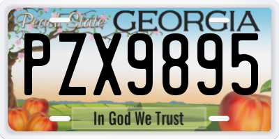 GA license plate PZX9895