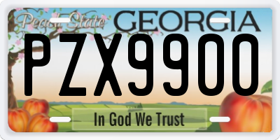 GA license plate PZX9900