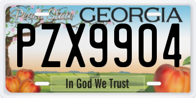 GA license plate PZX9904