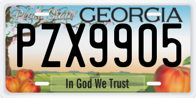 GA license plate PZX9905