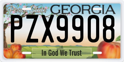 GA license plate PZX9908