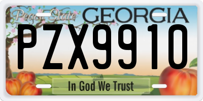GA license plate PZX9910