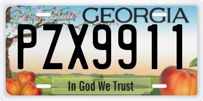 GA license plate PZX9911