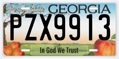 GA license plate PZX9913