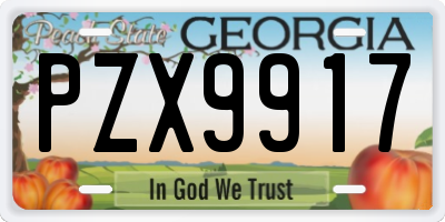 GA license plate PZX9917